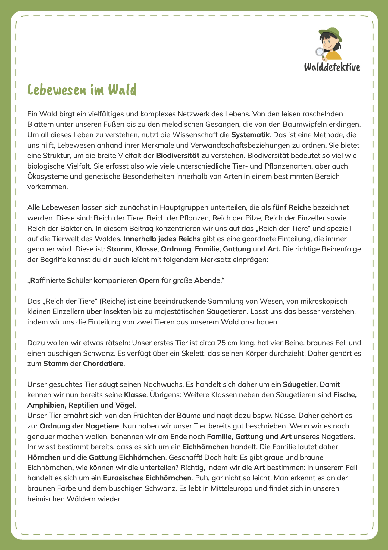 Schulmaterial - Walddetektive