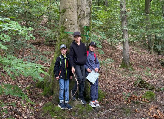 Waldforschertag