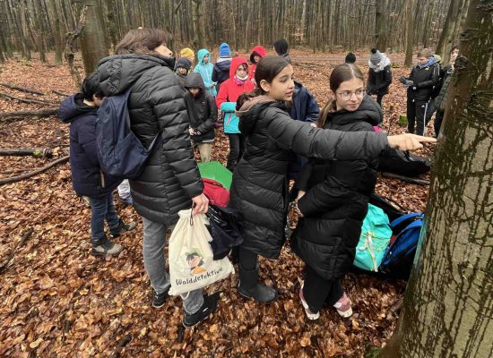 Waldforschertag