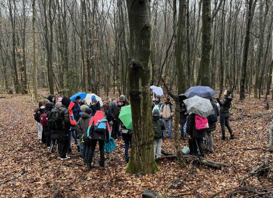 Waldforschertag
