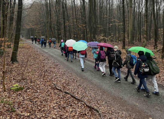 Waldforschertag